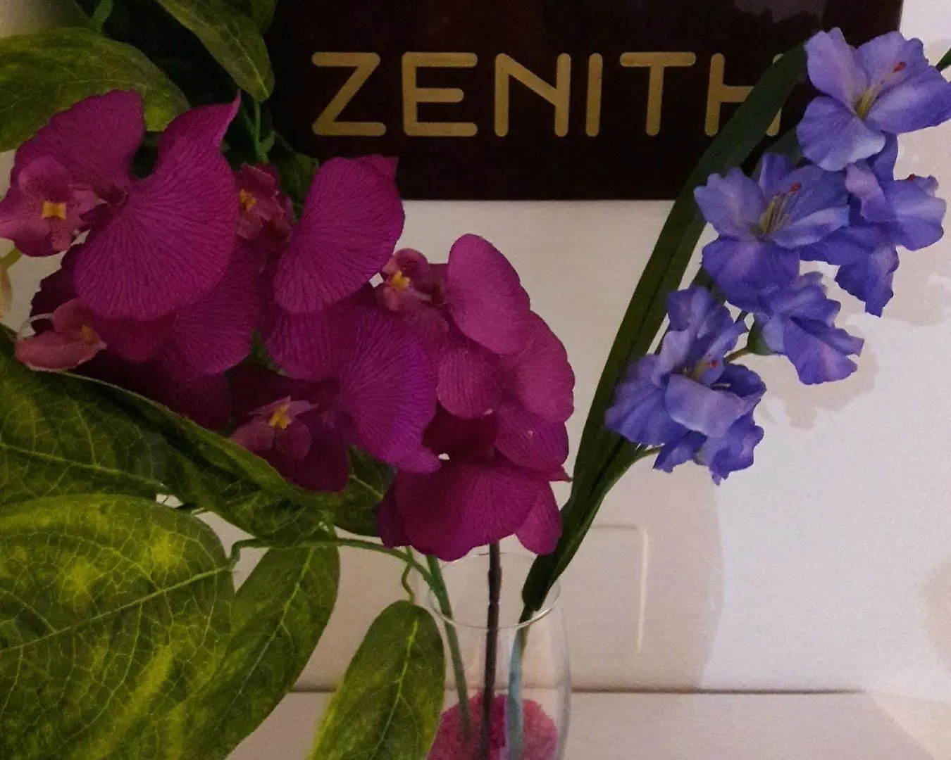 Hotel Zenith